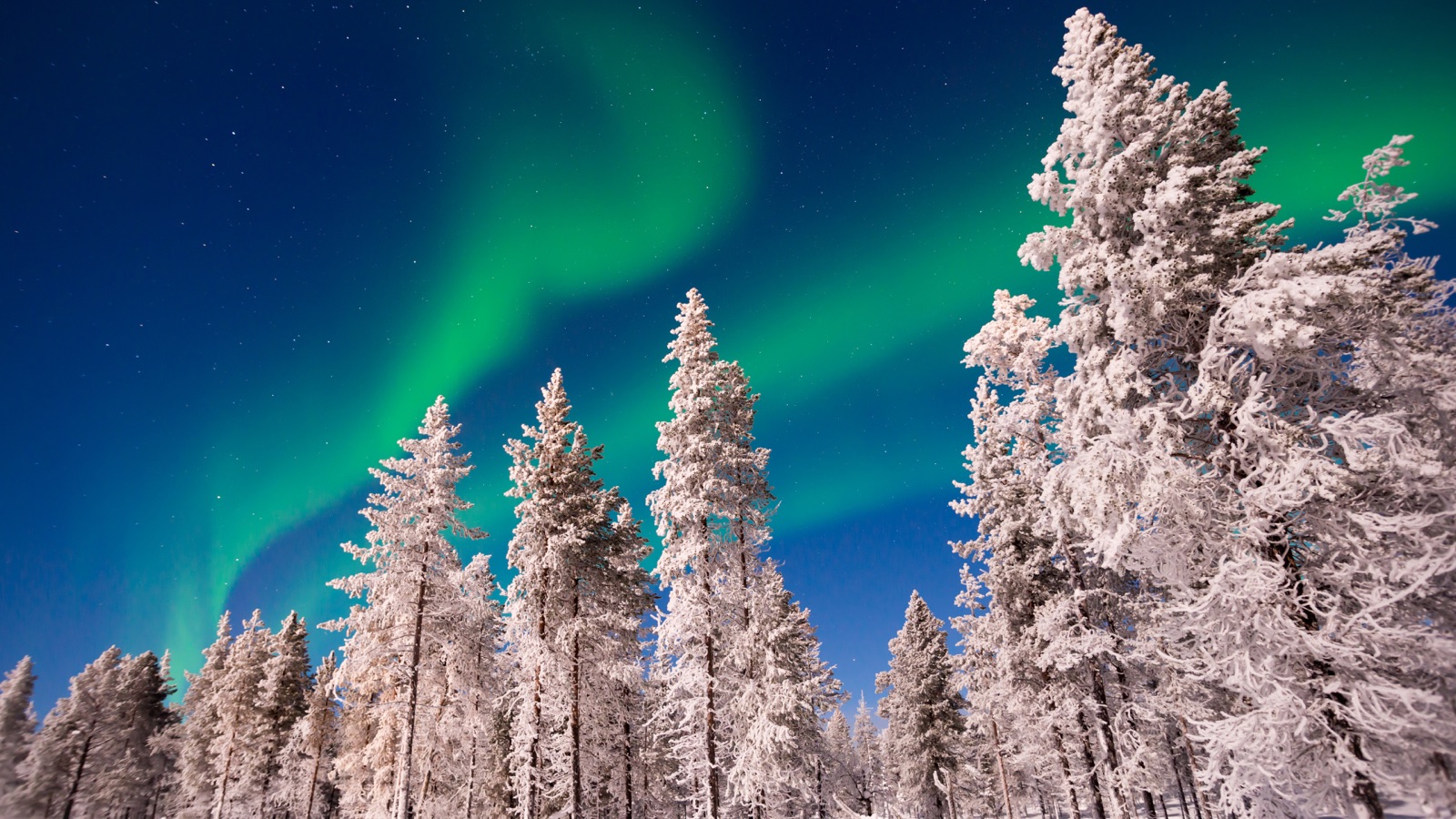 Lapponia: sotto le luci dell'Aurora Boreale